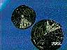dris001.jpg